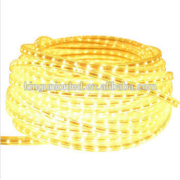 AC110-220V a melhor quantidade Waterproof Led Strip Light